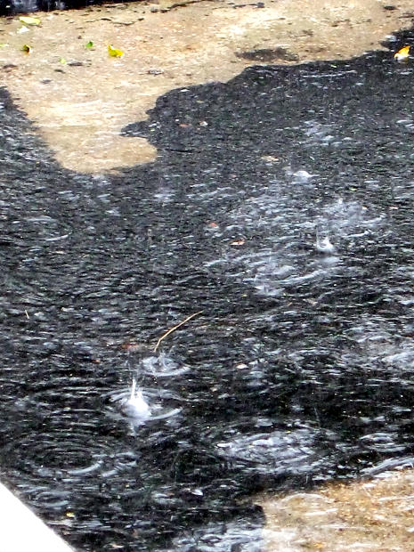 ゲリラ豪雨で気を付けること
